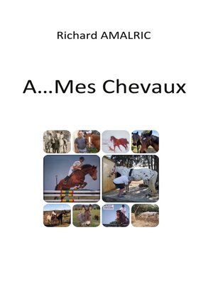 cover image of A ... Mes Chevaux